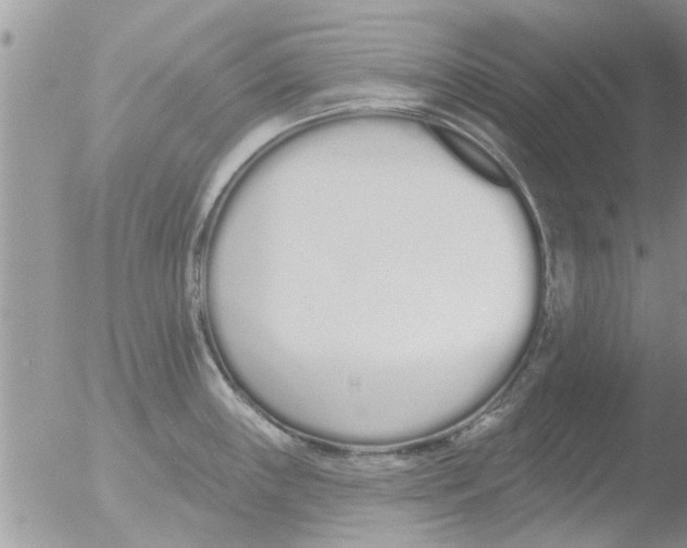 X0000051921243200507152048