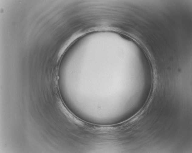 X0000051921244200507152048