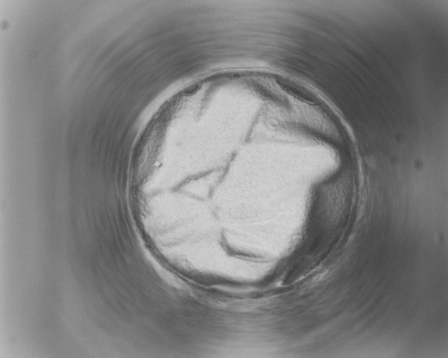 X0000051921245200507152049