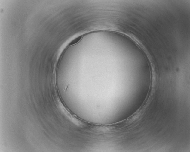 X0000051921246200507152049