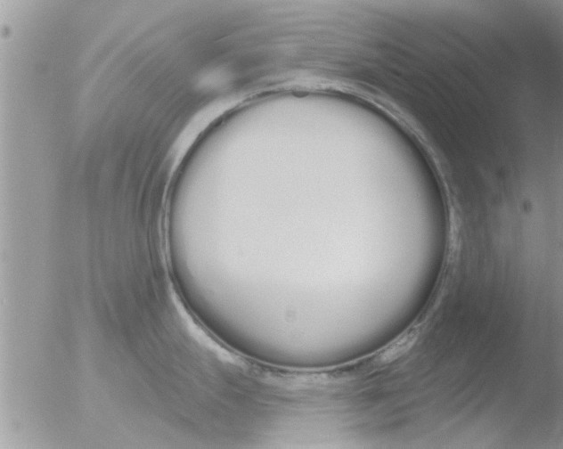 X0000051921247200507152049