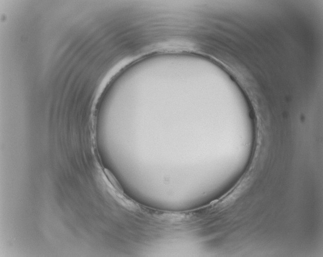 X0000051921248200507152049