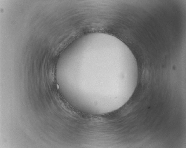 X0000051921250200507152048