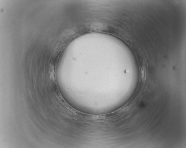 X0000051921251200507152048