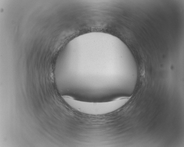 X0000051921252200507152048