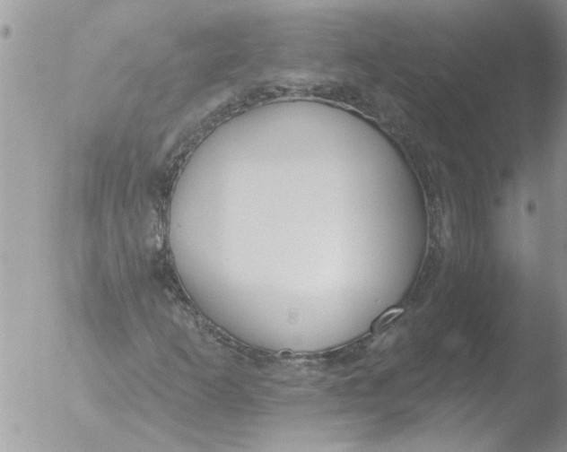 X0000051921253200507152048