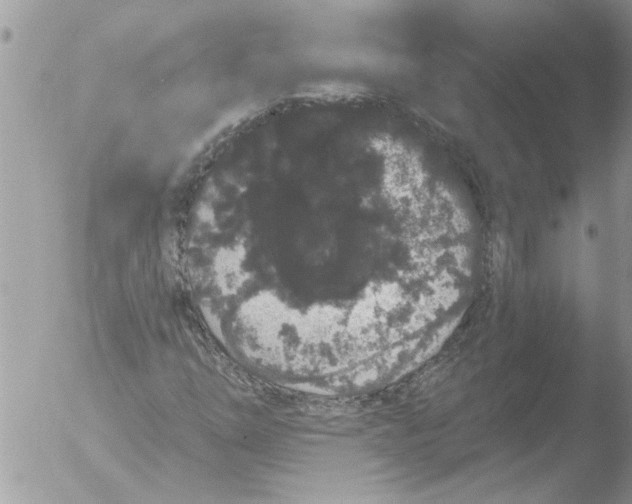 X0000051921254200507152048