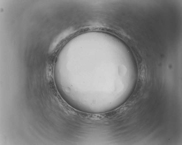 X0000051921255200507152048