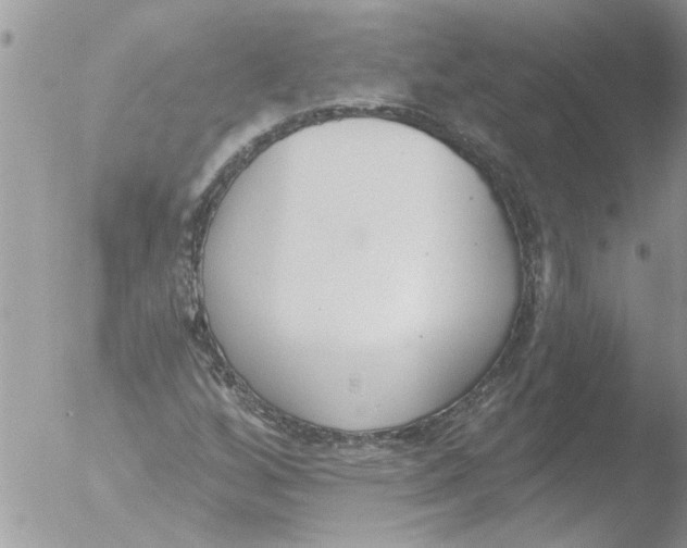 X0000051921256200507152048