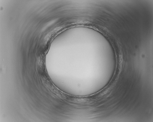 X0000051921257200507152048