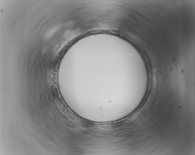 X0000051921258200507152048