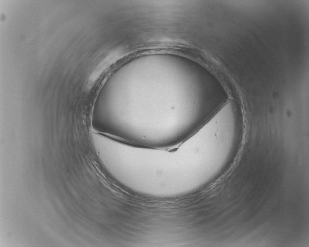 X0000051921259200507152048