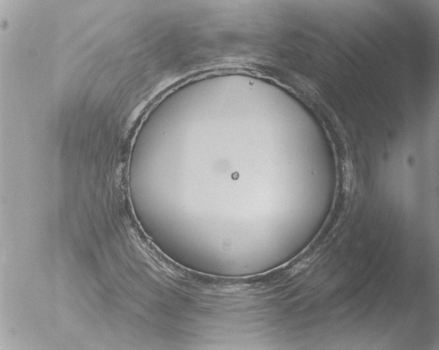 X0000051921260200507152048