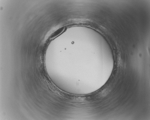 X0000051921261200507152048