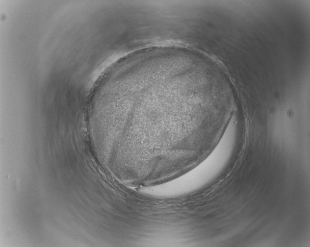 X0000051921263200507152048