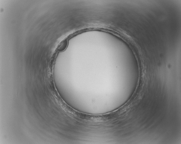 X0000051921264200507152047