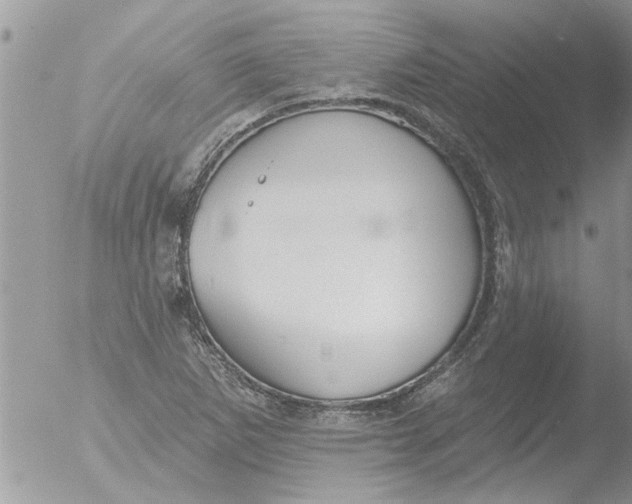 X0000051921265200507152047