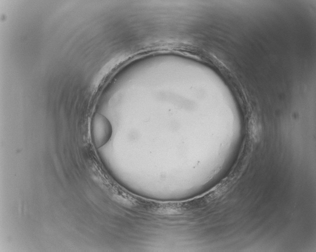 X0000051921267200507152047