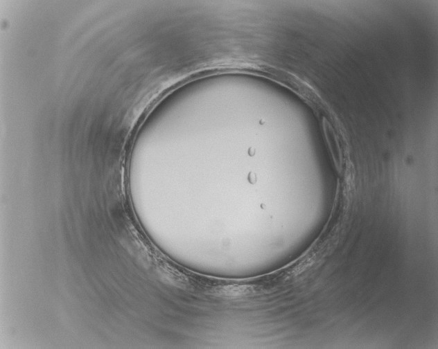 X0000051921268200507152047