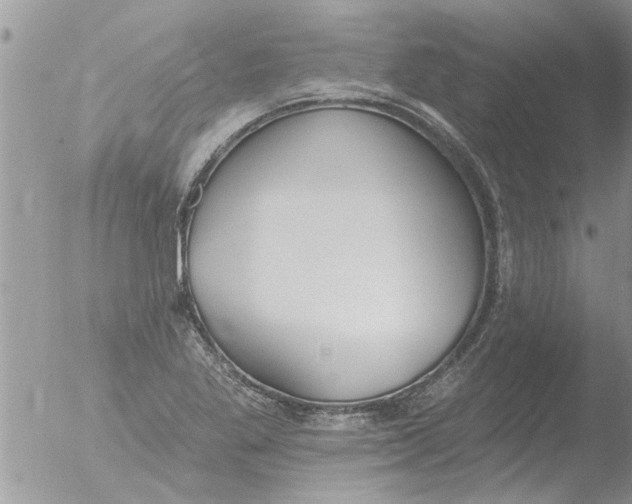 X0000051921269200507152047