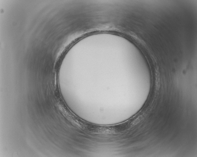 X0000051921270200507152047