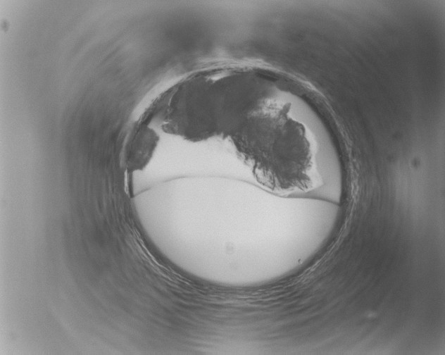 X0000051921271200507152047