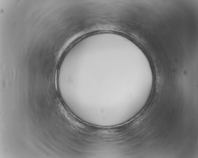 X0000051921272200507152047