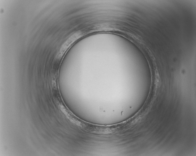 X0000051921273200507152047