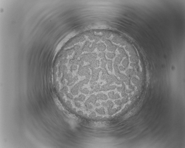 X0000051921274200507152047