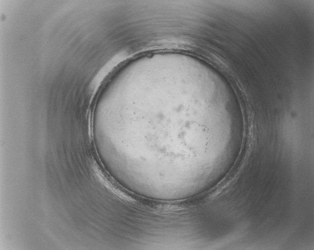 X0000051921275200507152047