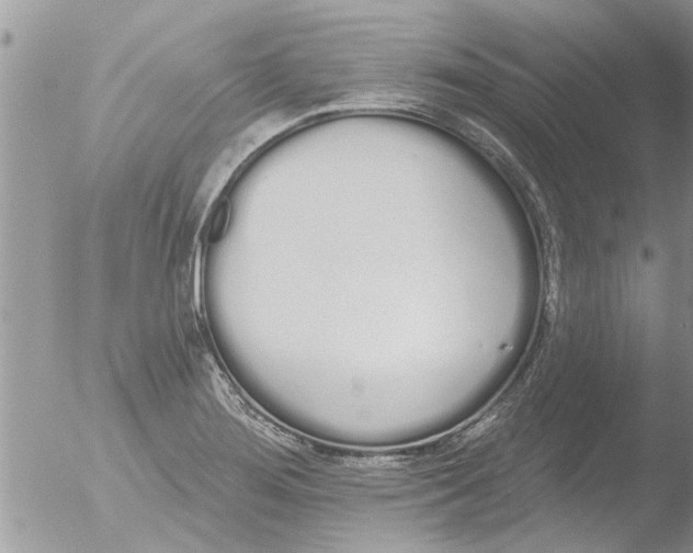 X0000051921276200507152047