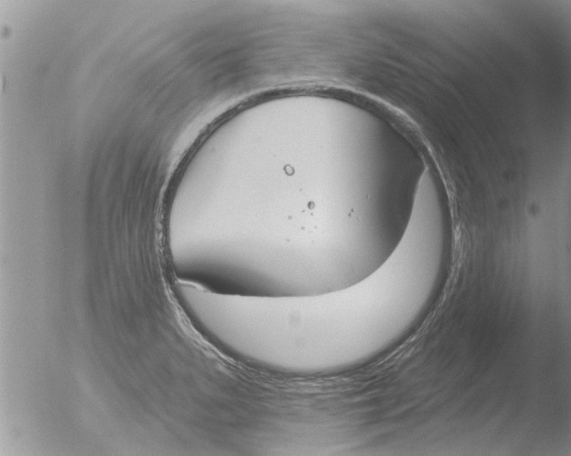 X0000051921279200507152047