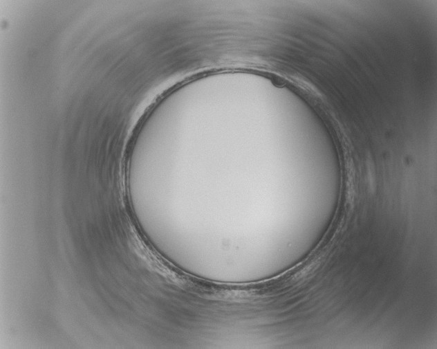 X0000051921280200507152047