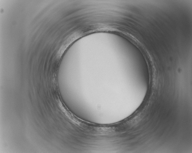 X0000051921281200507152047