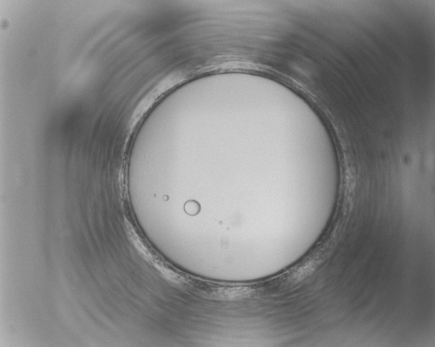 X0000051921282200507152047