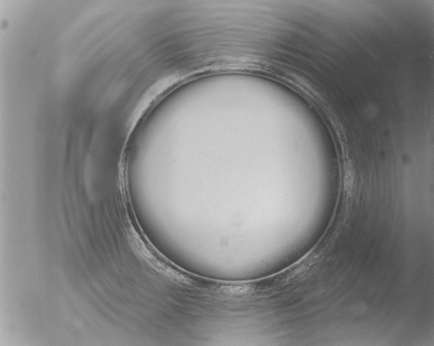 X0000051921283200507152047