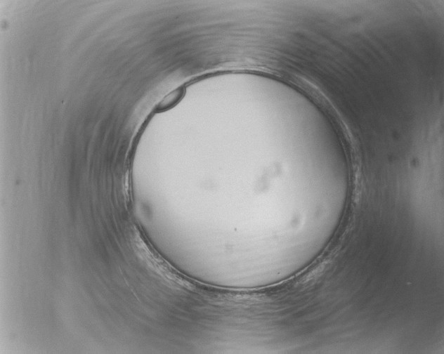 X0000051921284200507152047