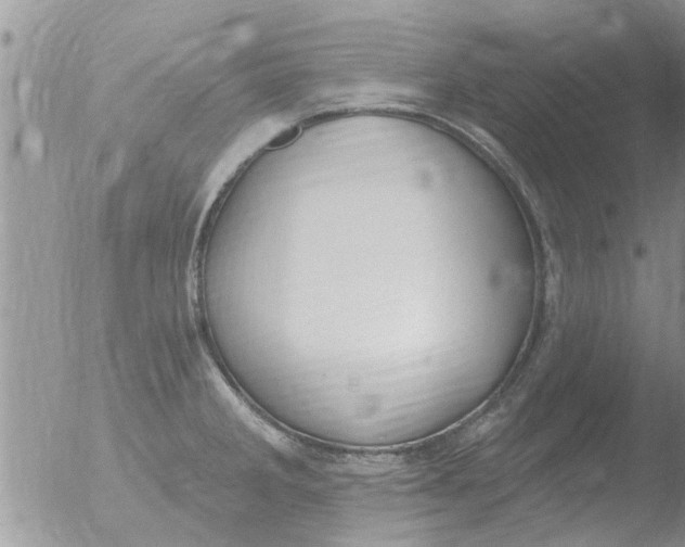 X0000051921285200507152047