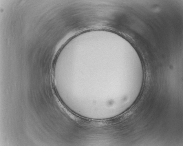 X0000051921286200507152047