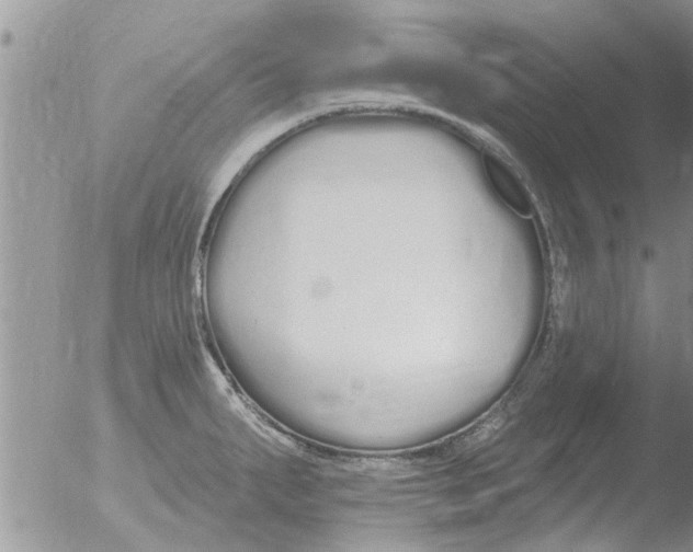 X0000051921287200507152047