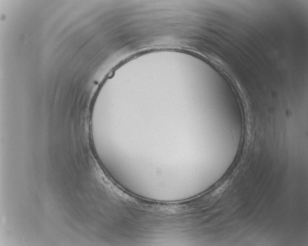 X0000051921288200507152047