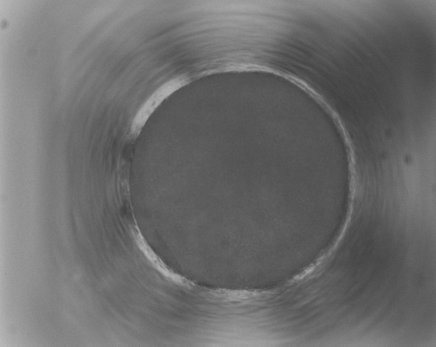 X0000051921289200507152047