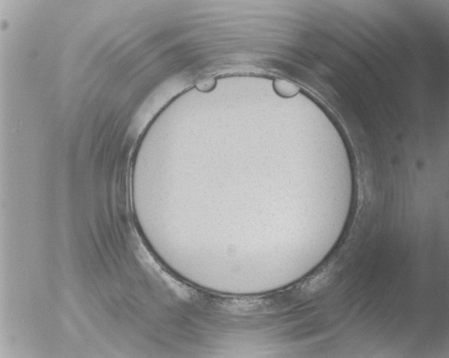 X0000051921290200507152047