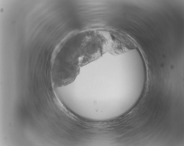 X0000051921291200507152047