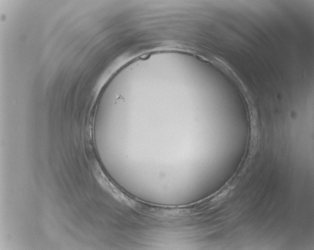 X0000051921292200507152047