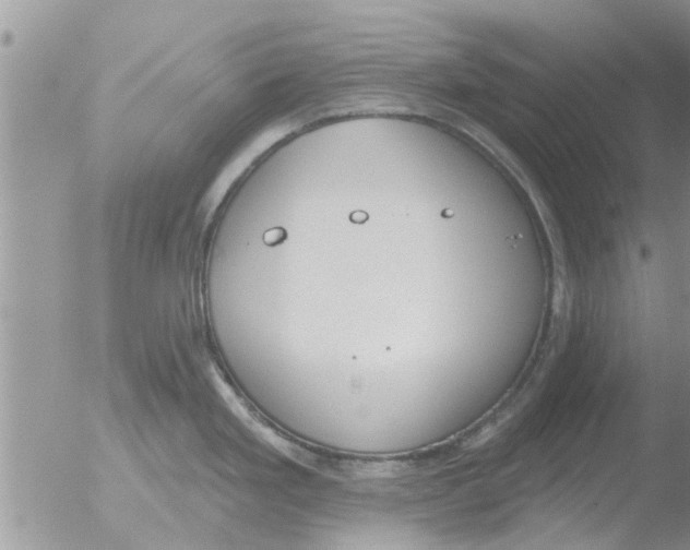 X0000051921293200507152047