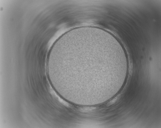 X0000051921294200507152047