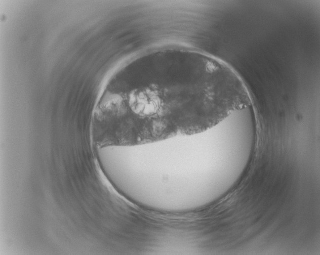 X0000051921295200507152047