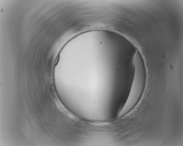 X0000051921296200507152047