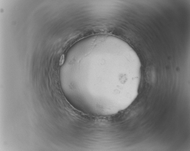 X0000051921297200507152046